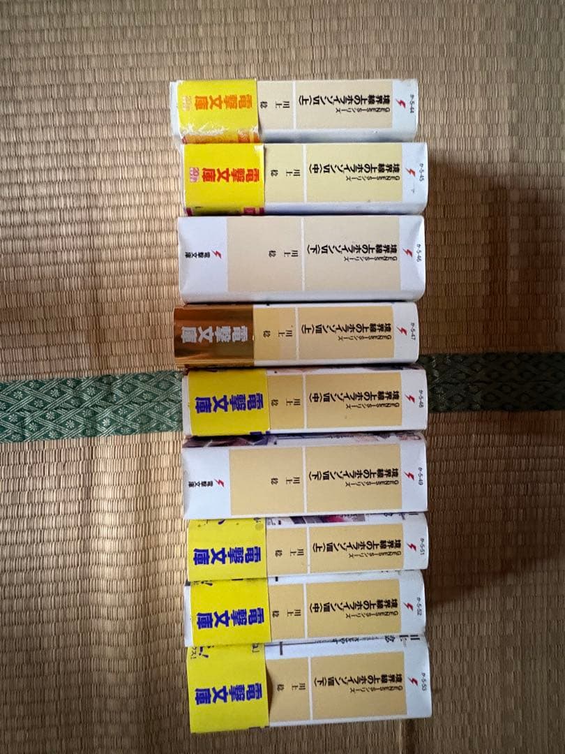 【調整可能】境界線上のホライゾン本編全巻+その他川上稔作品複数