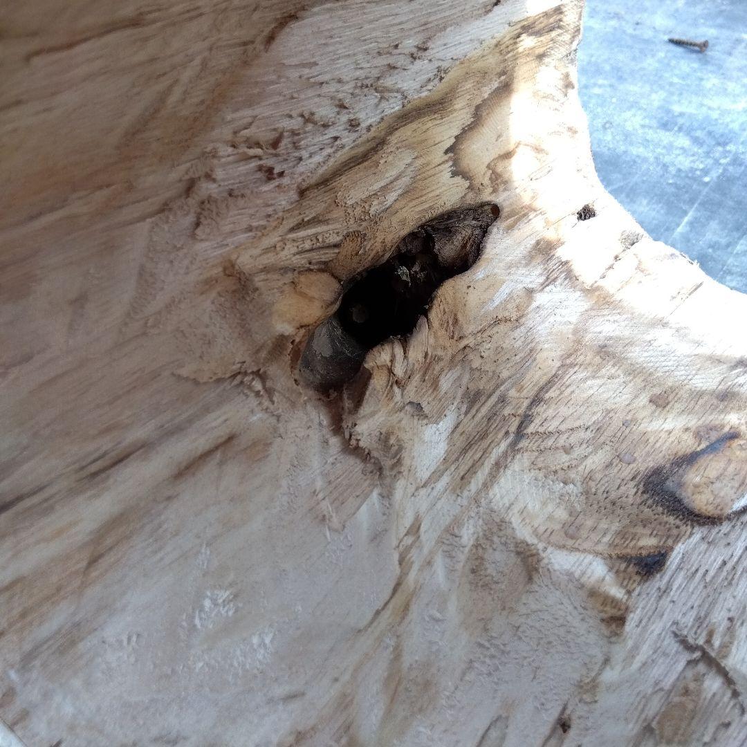 天然木 昆虫採集道具 日本みつばち誘引待ち箱のベース