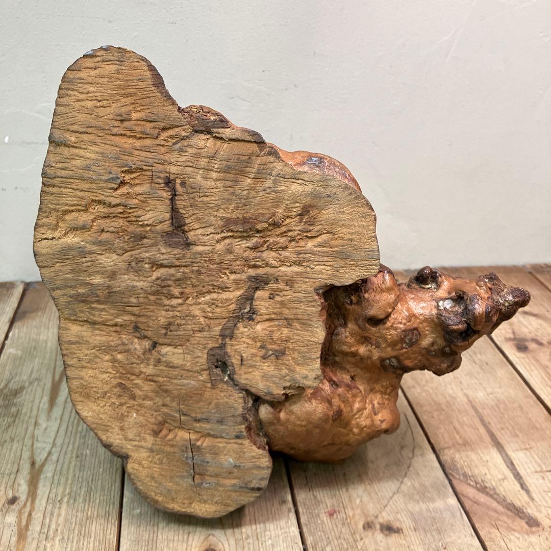 E-4 天然木 銘木 木材 瘤 コブ 根っこ 自然木 木製オブジェ 置物 木工