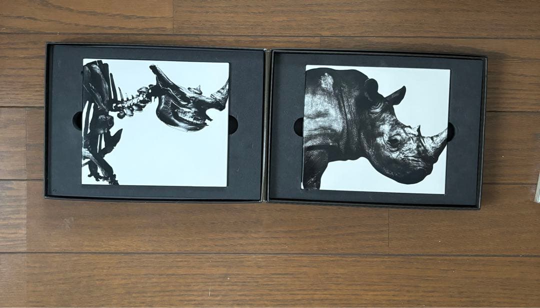 【最終お値下げ　レア品あり】ミスチル関連　スペシャルセット