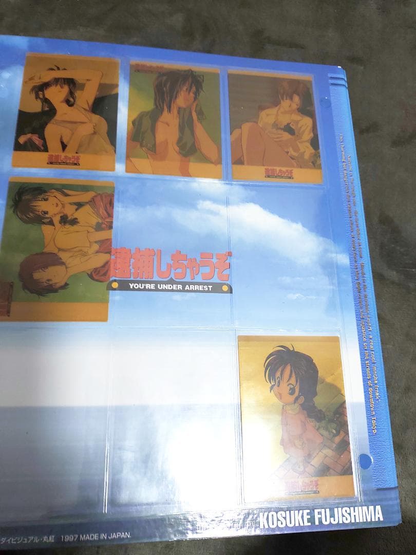 ☆２０２枚　逮捕しちゃうぞ　バインダー＋トレーディングカード　まとめて