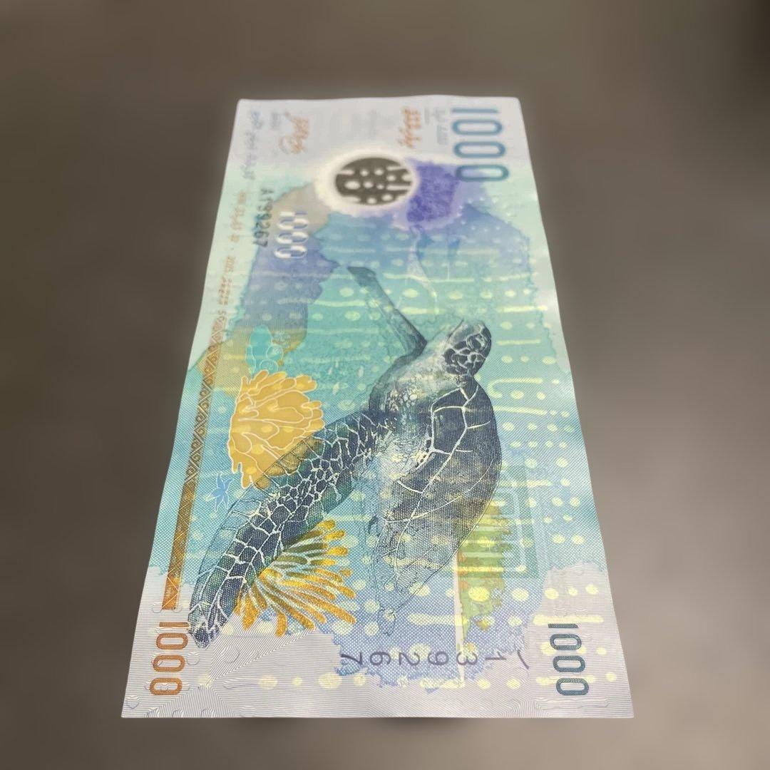モルディブ紙幣1000ルフィヤ（MVR）紙幣（海亀・ジンベイザメ）