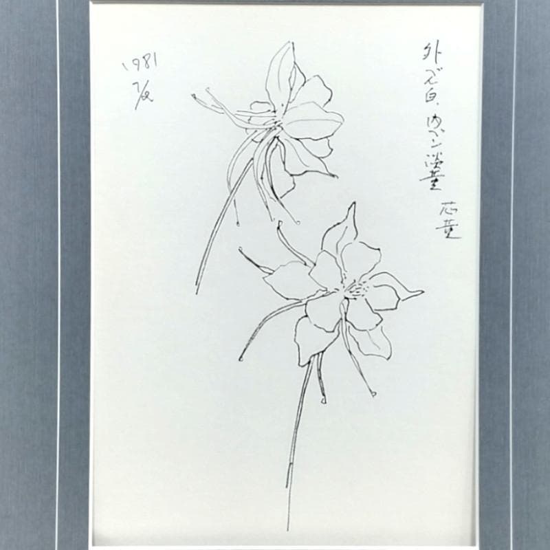 ☆坂本直行☆「 西洋オダマキ（イェロークイーン）」ペン画　大衣　未使用！