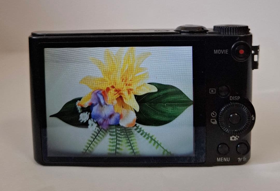 ソニー SONY Cyber-shot DSC-WX300 デジタルカメラ