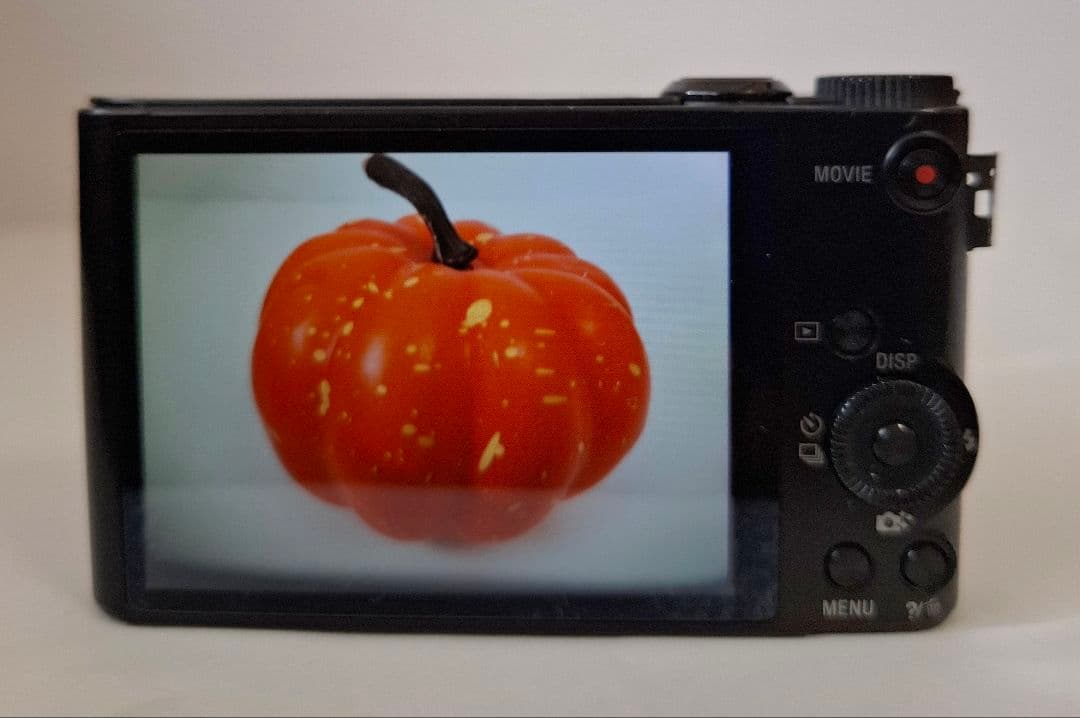 ソニー SONY Cyber-shot DSC-WX300 デジタルカメラ