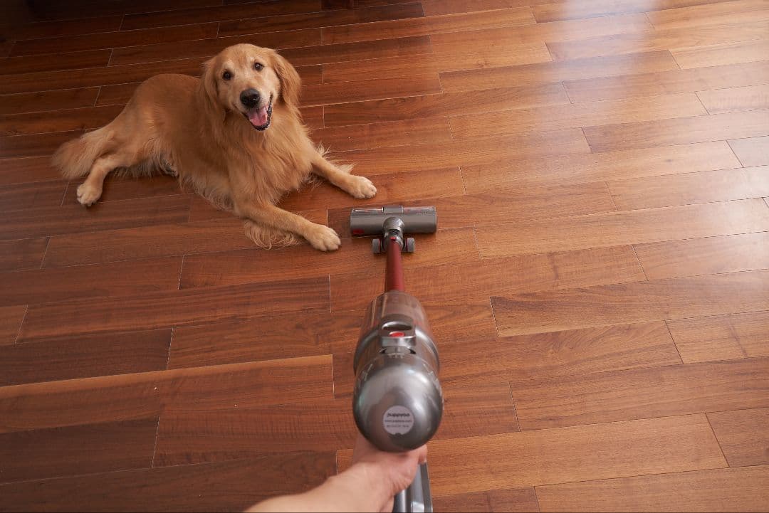 コードレス掃除機（新品）