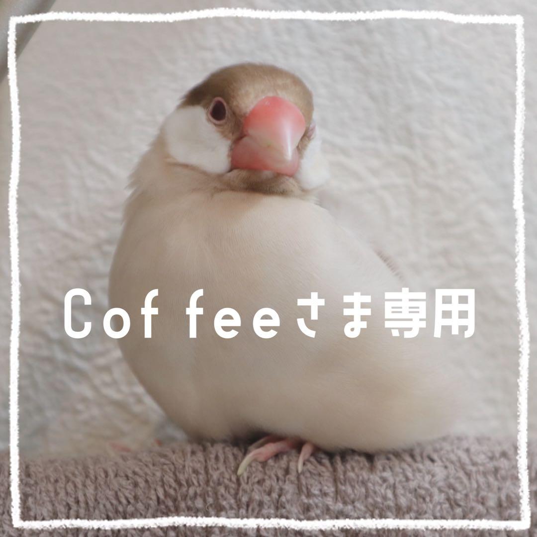 【Coffee】ことりのあそびば