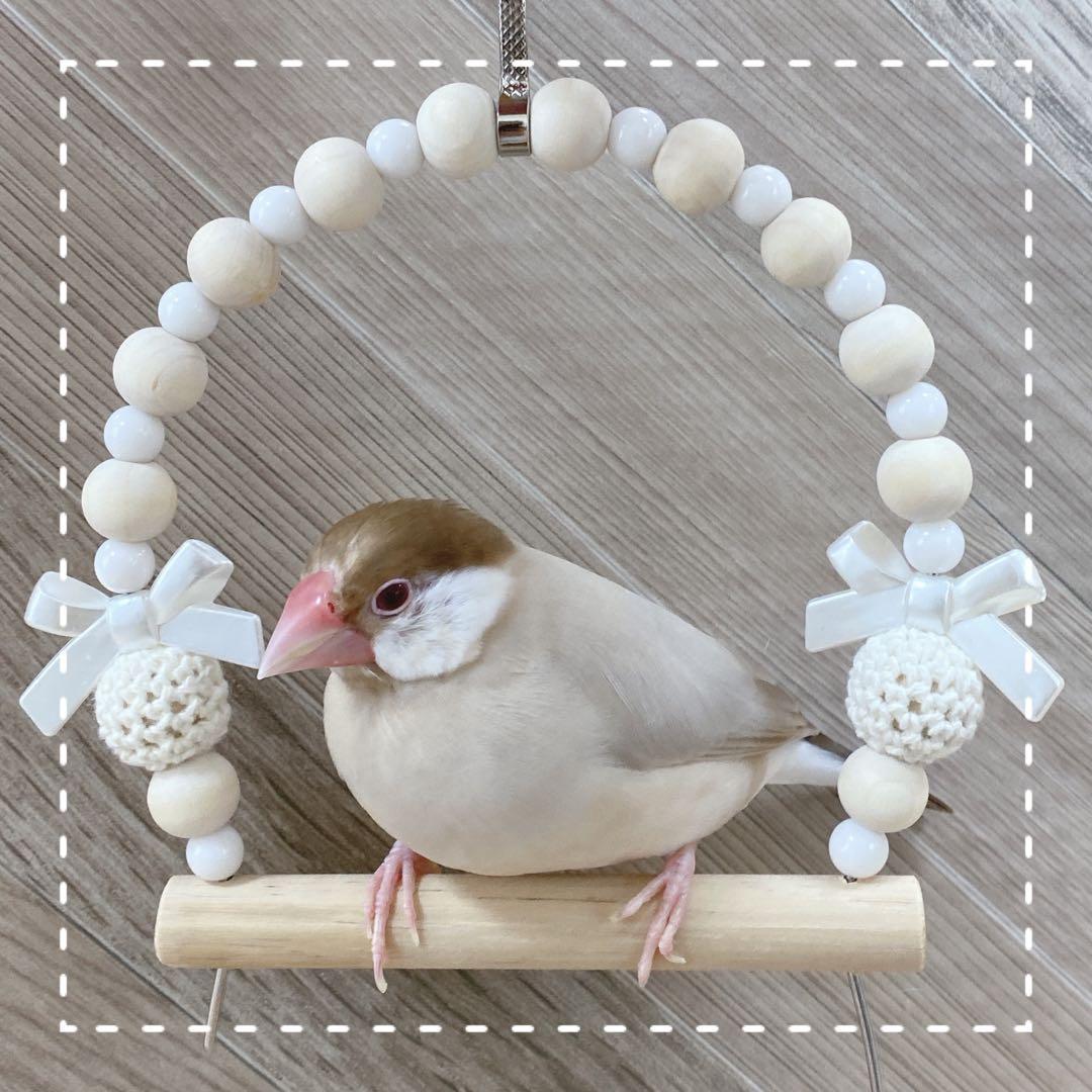 【Coffee】ことりのあそびば