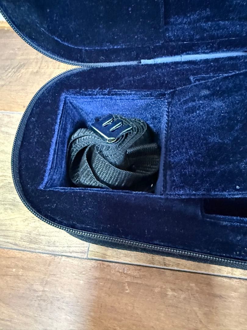 【美品】 Carlo giordano バイオリン VS-0 4/4