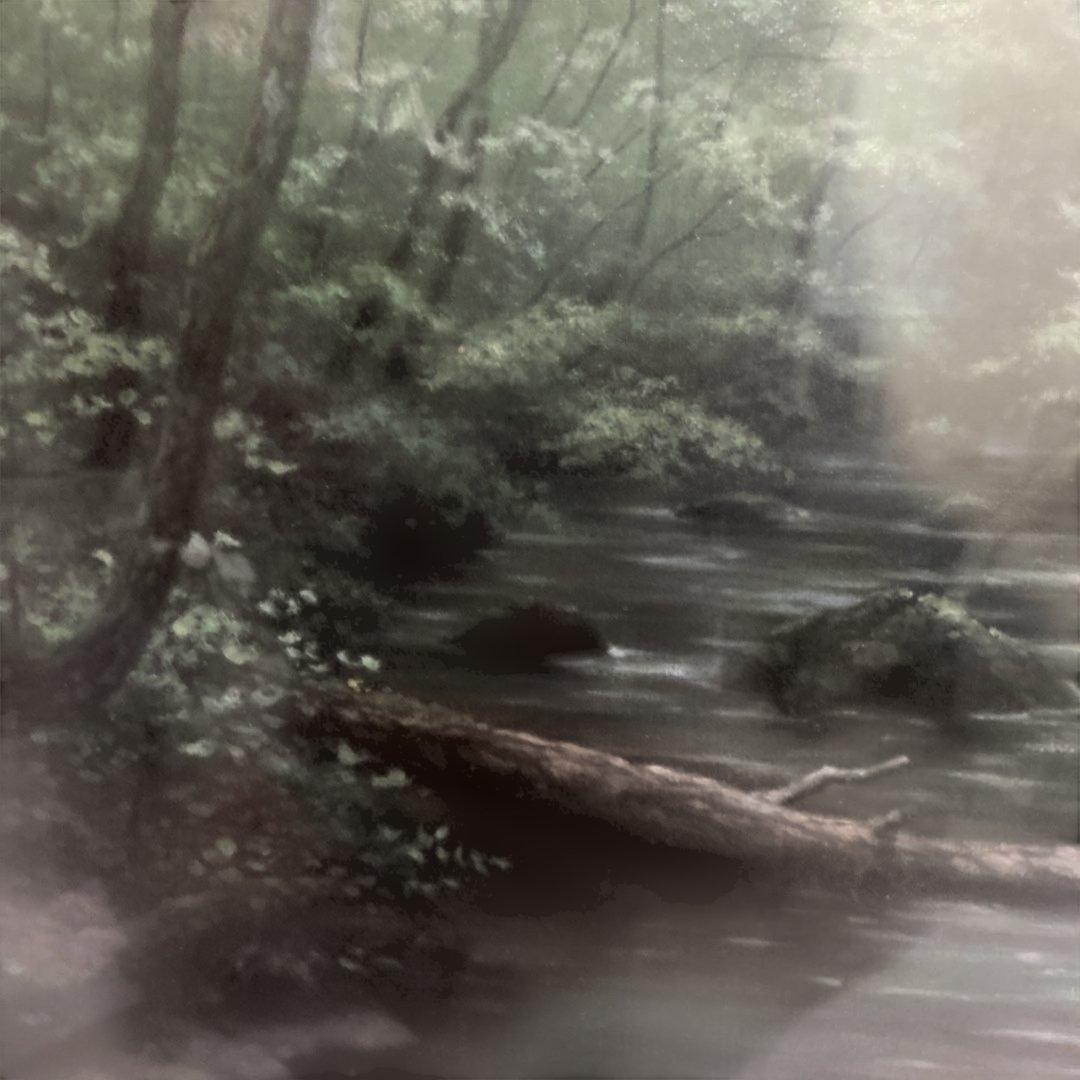 秀ちゃんさん専用　向山一石　（もいやまいつせき）　春光に憩う　「奥入瀬」　F6