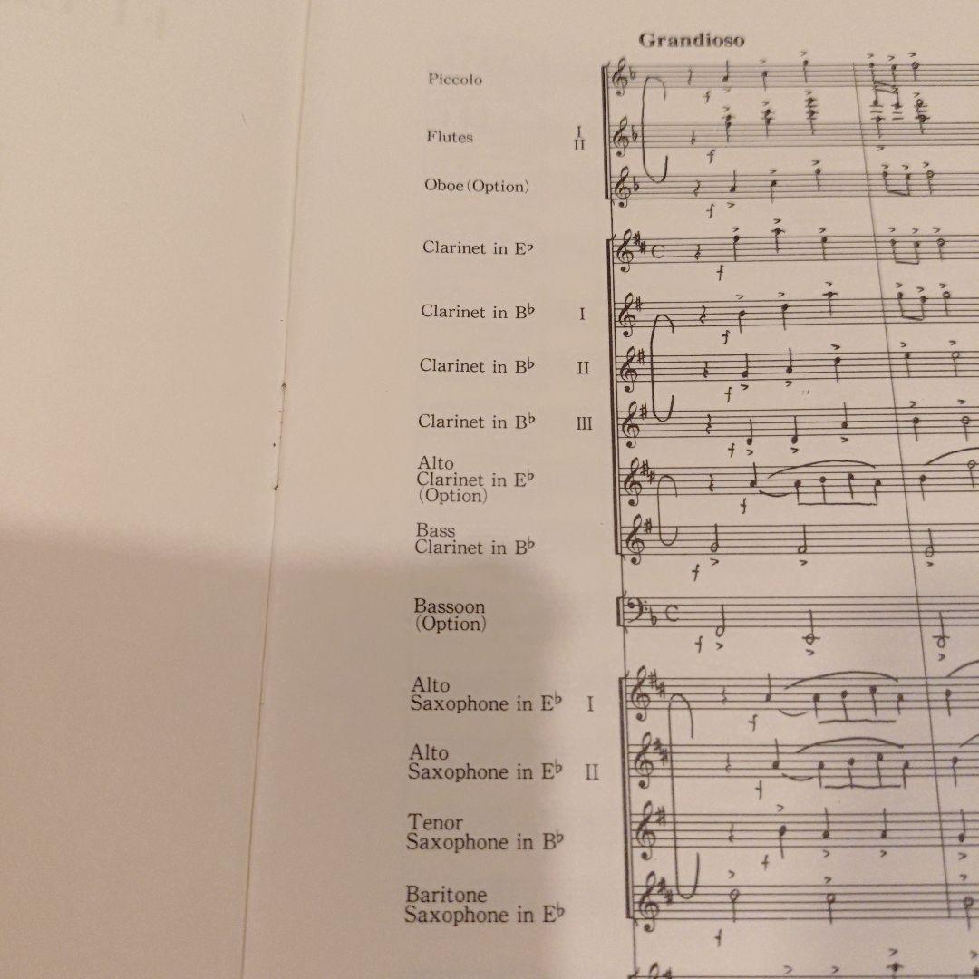 【絶版】ユーミンブラス　守ってあげたい