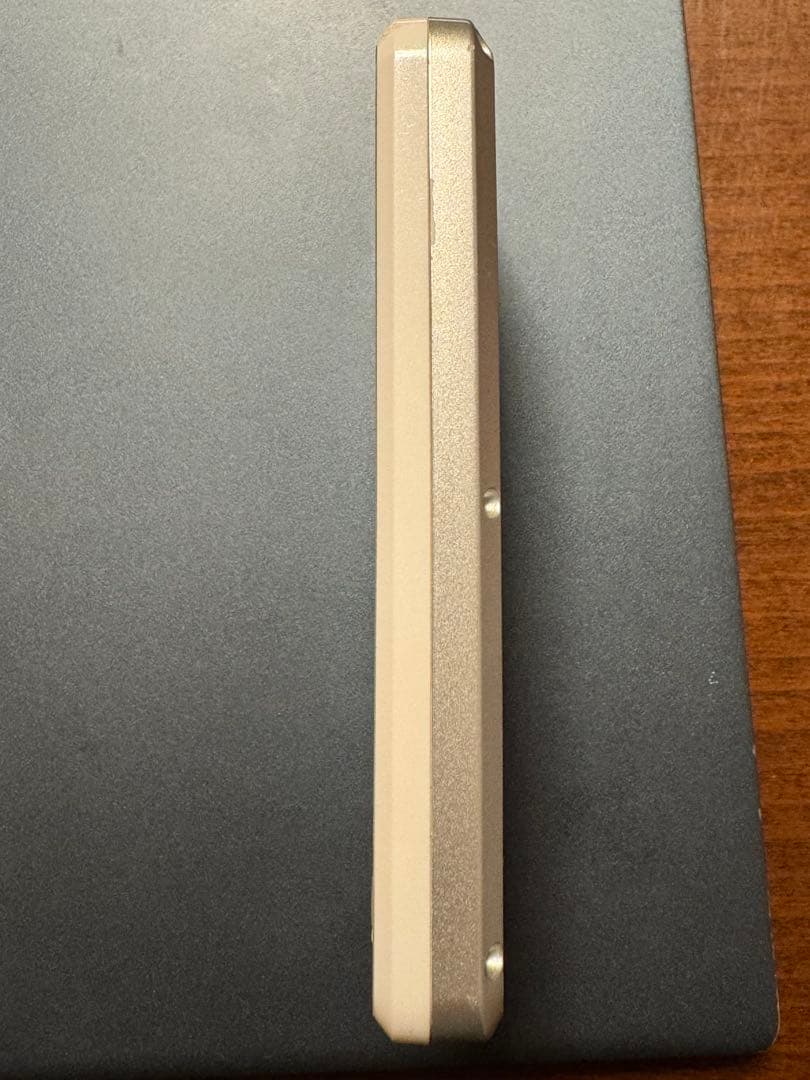 EAGLE VISION NEXT 2 GPSゴルフナビ EV-034