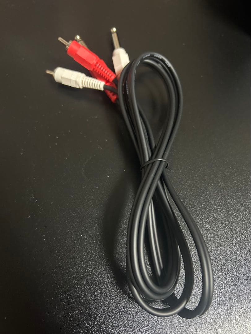 Roland CS-10EM バイノーラルマイク　（ローランド）