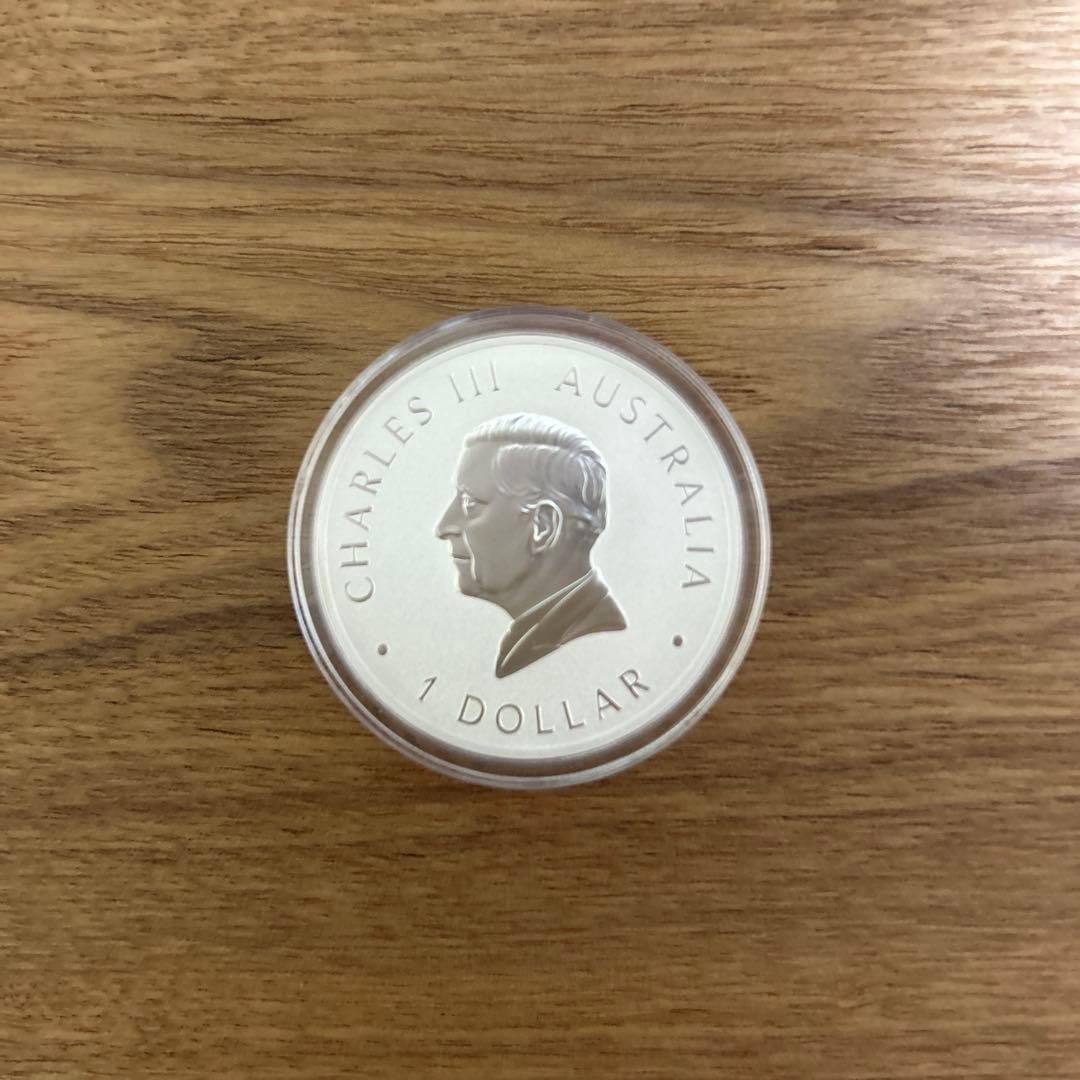 銀　2025 コアラ