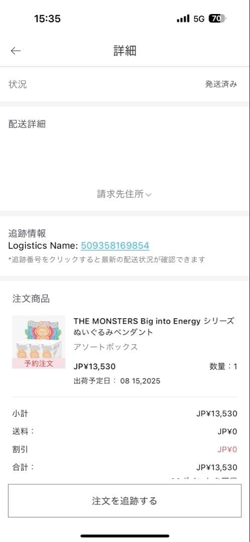 即日発送 LABUBU THE MONSTERS Big into Energy