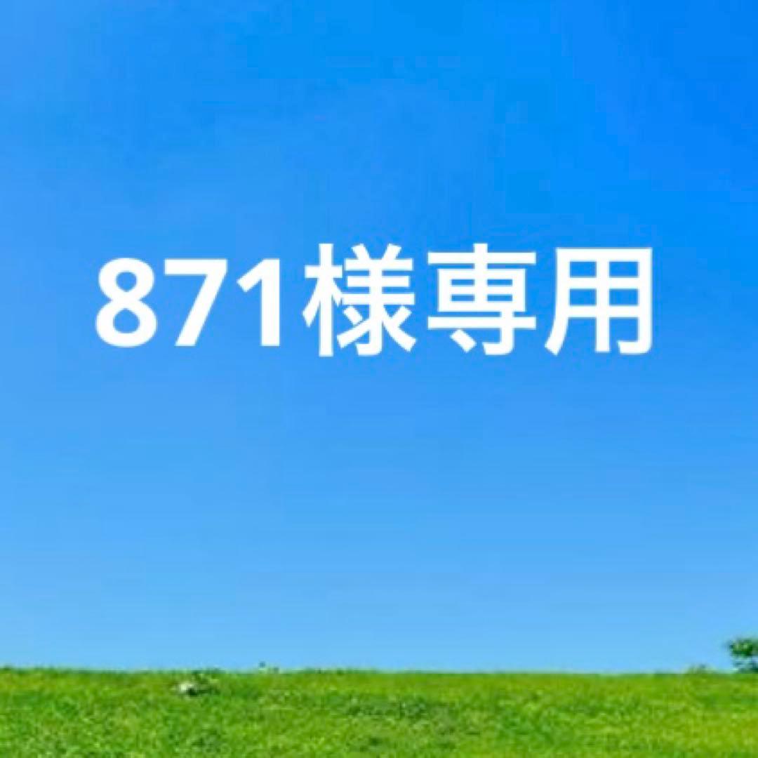 未使用　BOTTEGA VENETA レザー二つ折り財布　グレージュ　箱袋付き