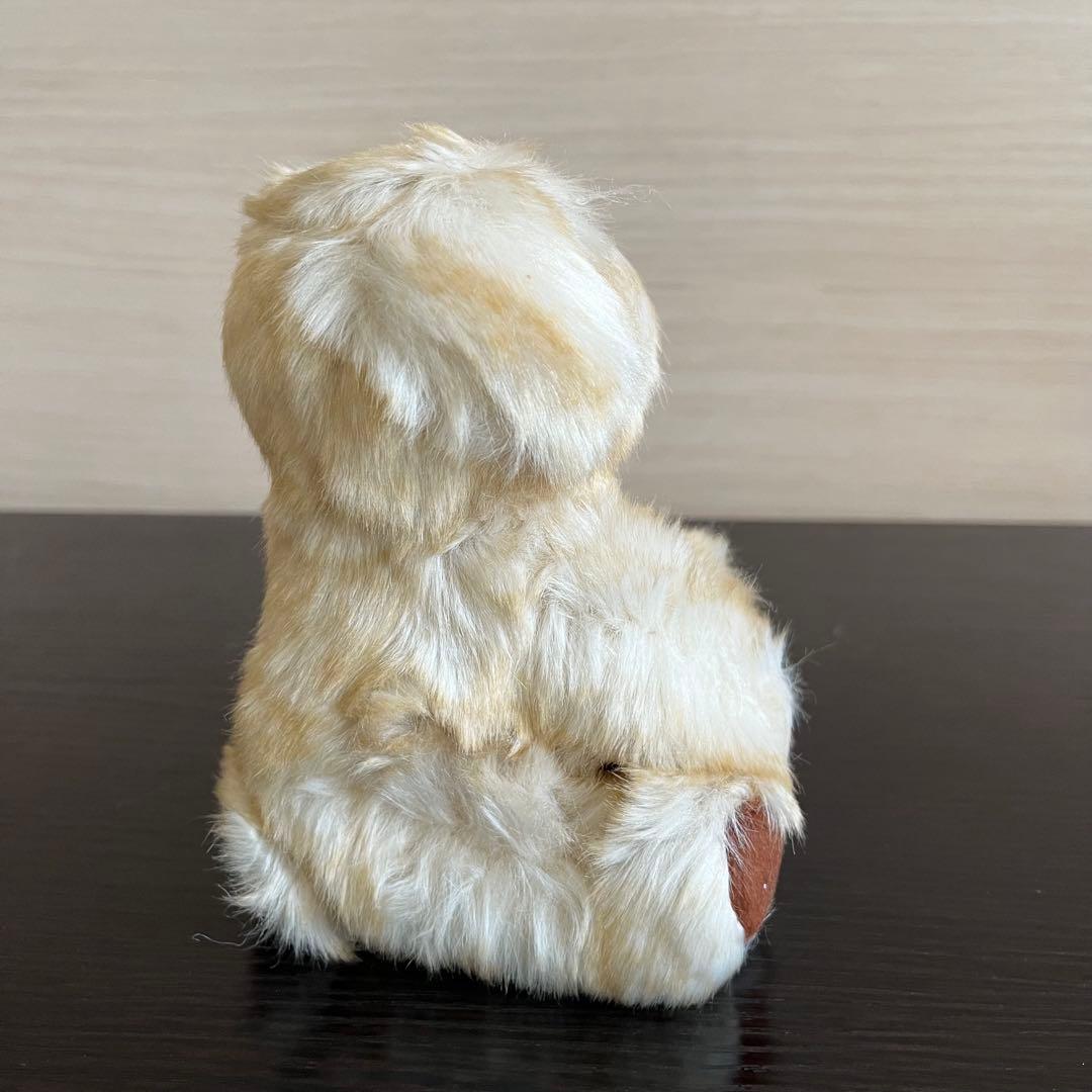 新品 kitamura ty BEANIE BABIES SENNA センナ君