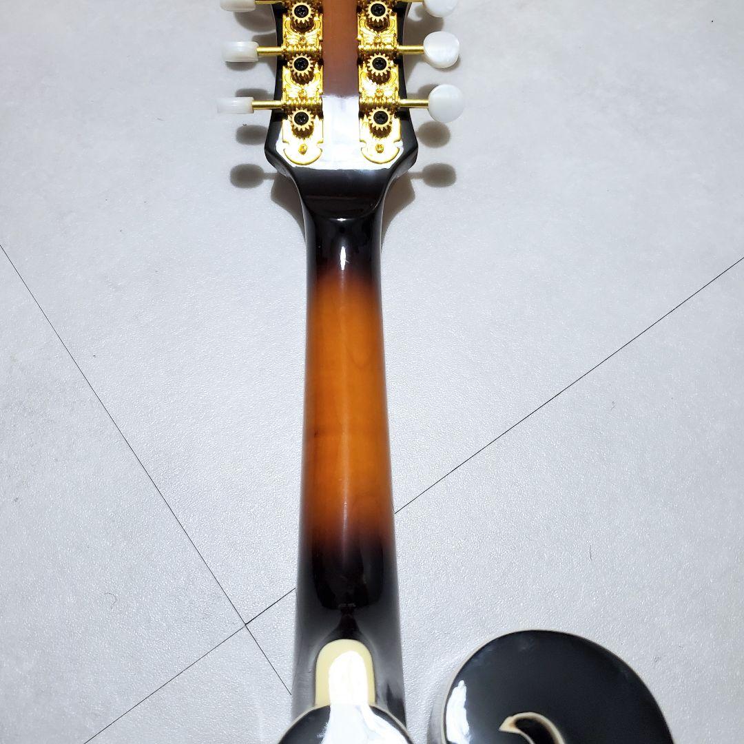 【極美品✨️】ARIA AM-40 フラットマンドリン ハードケース付き