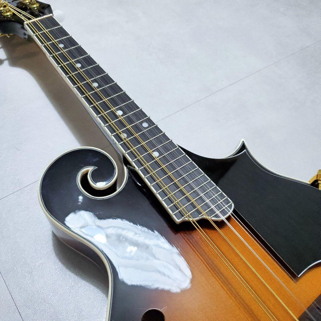 【極美品✨️】ARIA AM-40 フラットマンドリン ハードケース付き