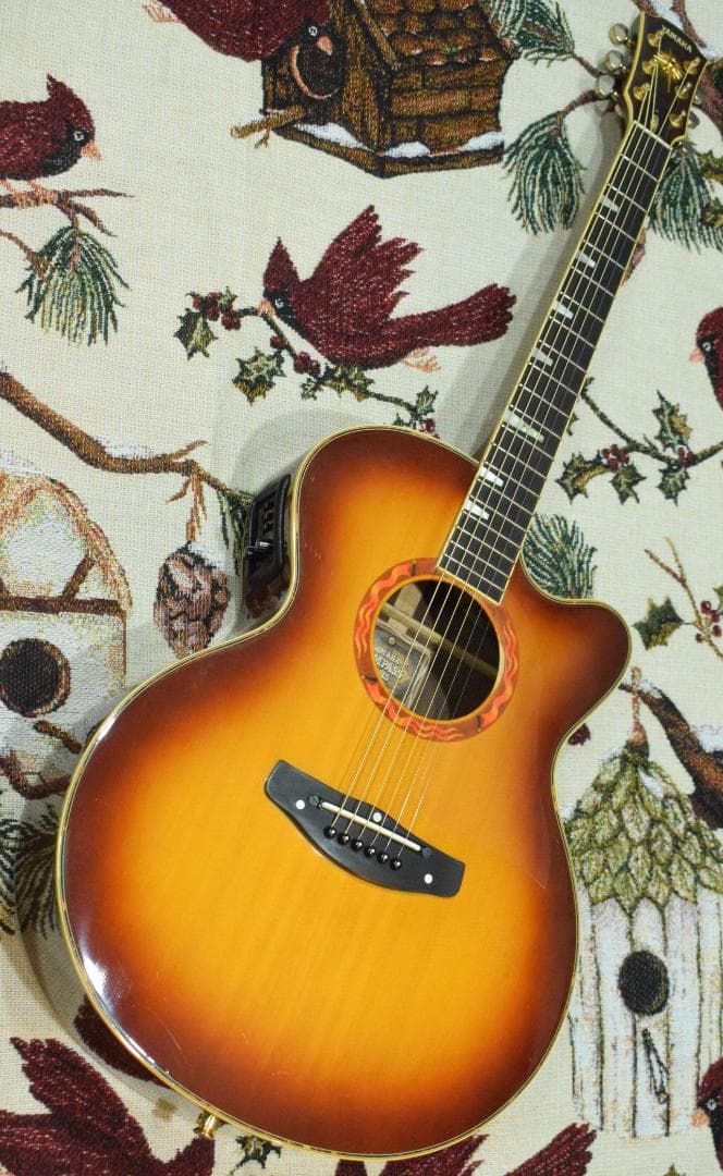 ギター YAMAHA COMPASS SERIES CPX-10 TBS