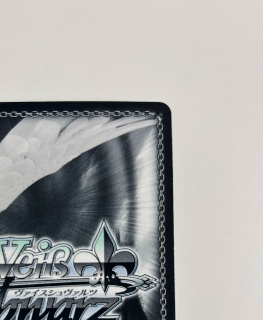 【ヴァイスシュバルツ】キャンプ場でおさんぽ 恵那&はんぺん&ちくわ