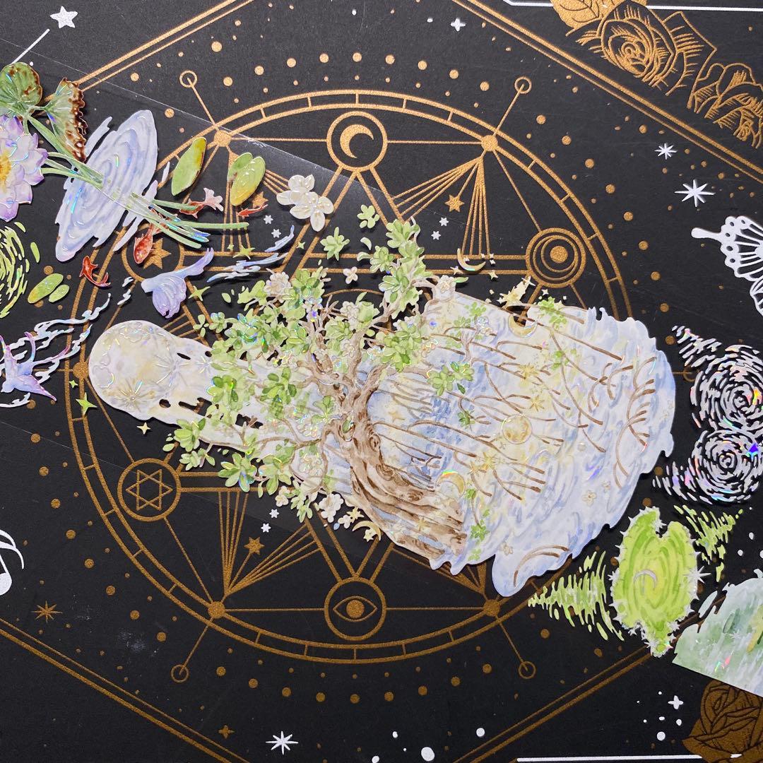 【9152】海外　マスキングテープ　中古巻　貝殻光ハス　波紋水紋　装飾系残量多め