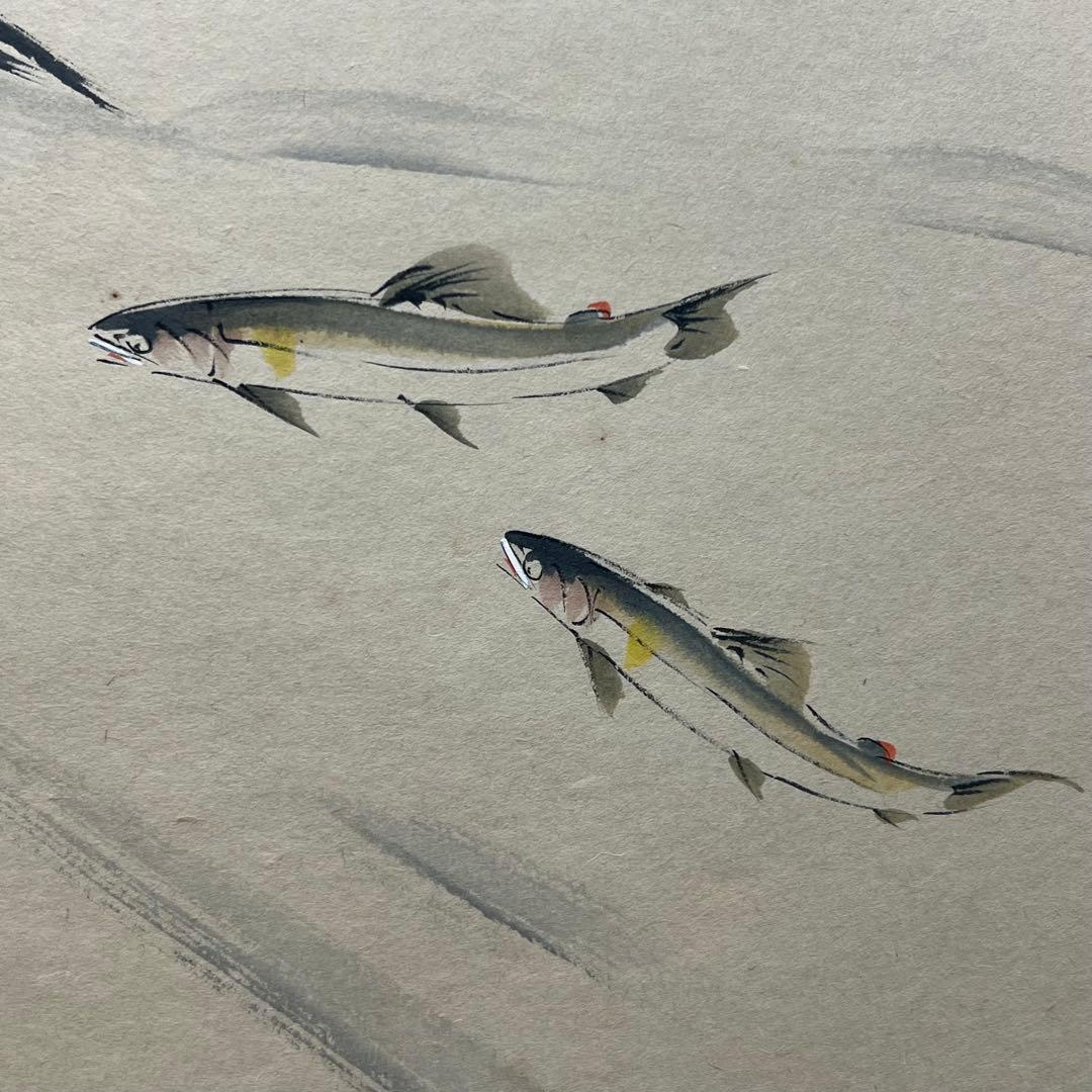 4134 須賀玄道 「清流鮎」 共箱 肉筆 紙本 書 掛軸 臨済宗 大徳寺 禅語