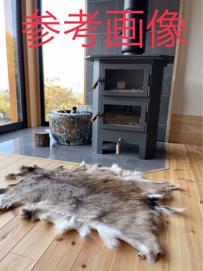 ニホンジカ♂毛皮　23-1