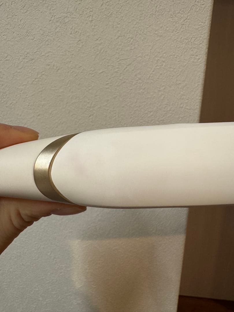 KINUJO W 絹女 ストレートアイロン DS100 海外対応 ホワイト