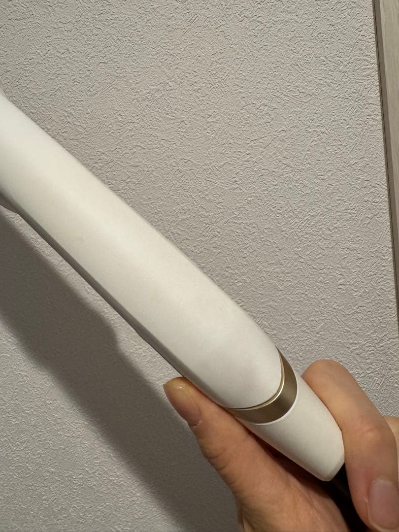 KINUJO W 絹女 ストレートアイロン DS100 海外対応 ホワイト