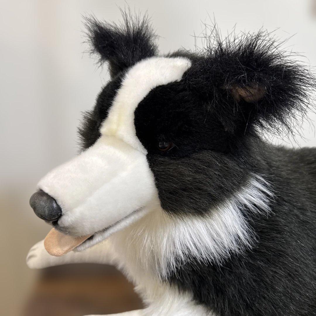 HANSA ボーダーコリー　等身大　ぬいぐるみ　リアル