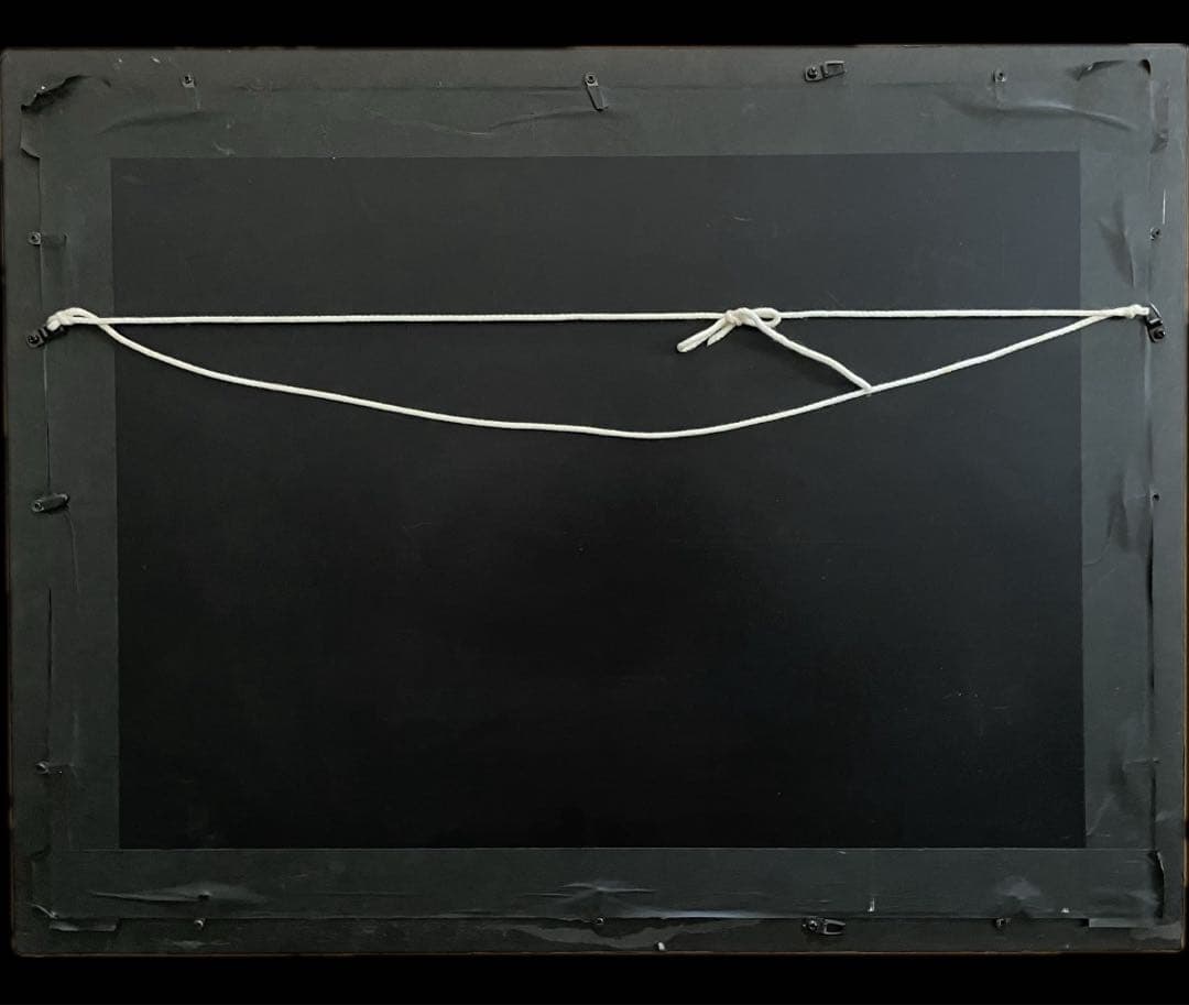 貴重【Harry Potter】 ハリーポッター 賢者の石 サイン入り 限定品