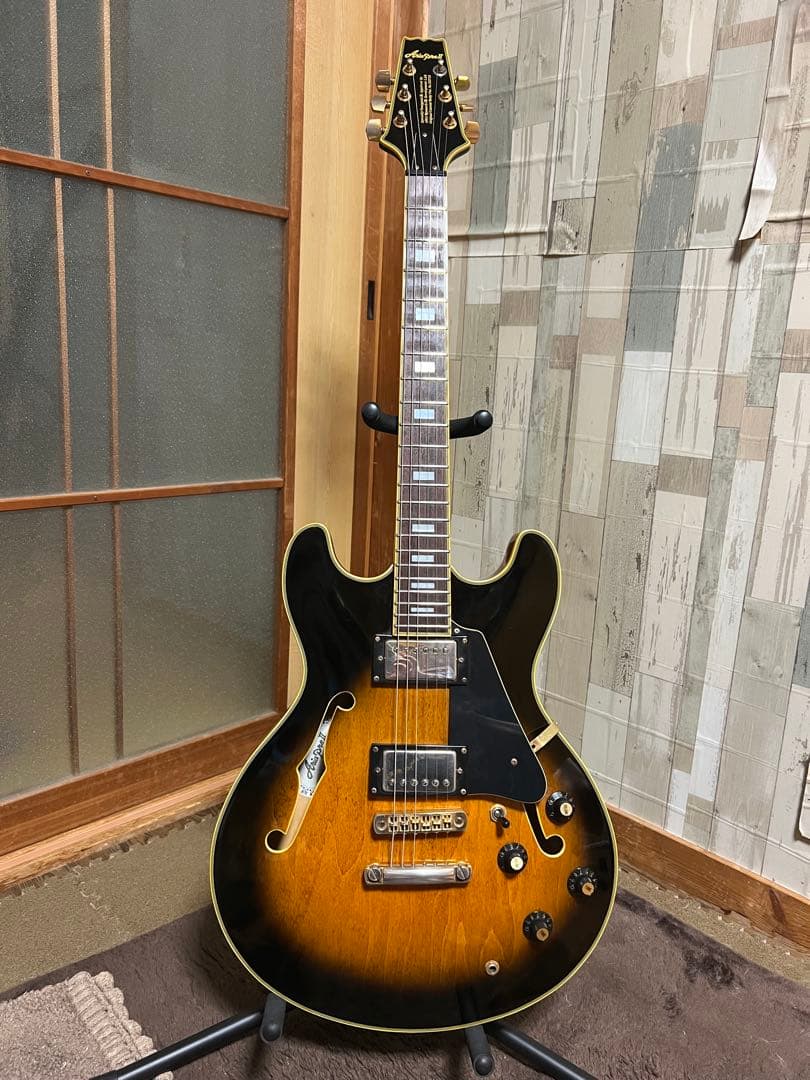 Aria Pro II TA-03 セミアコ　アリアプロ　ソフトケース付き