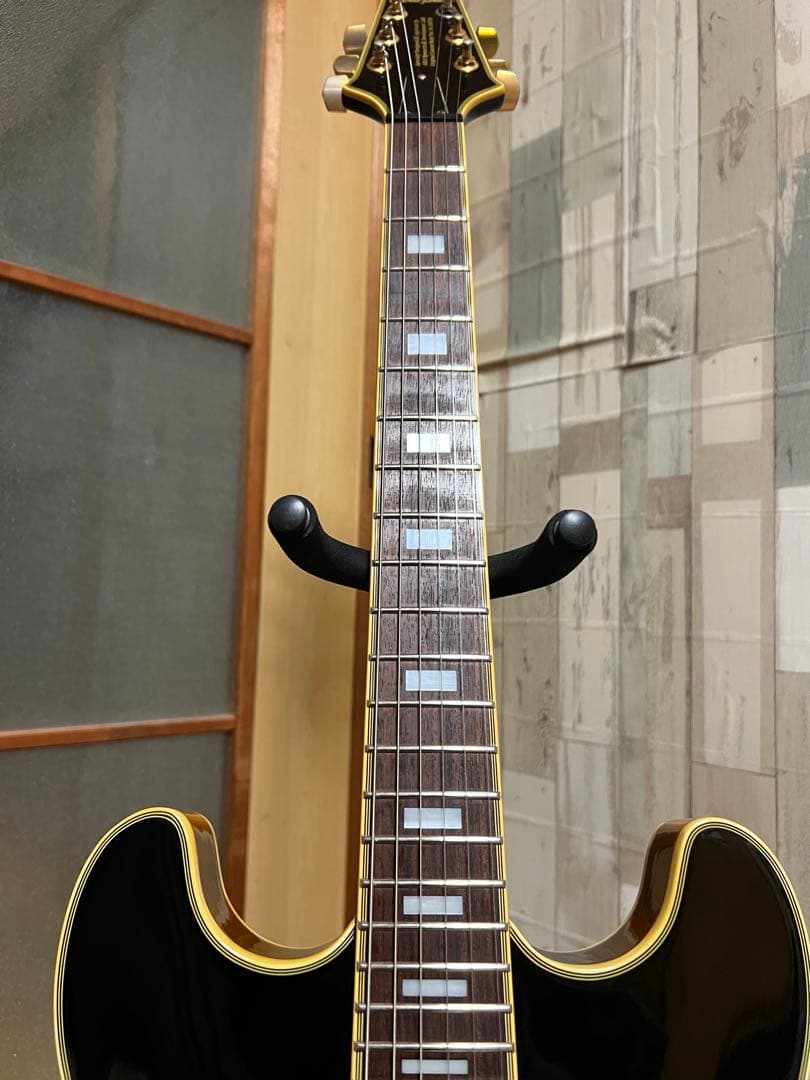 Aria Pro II TA-03 セミアコ　アリアプロ　ソフトケース付き