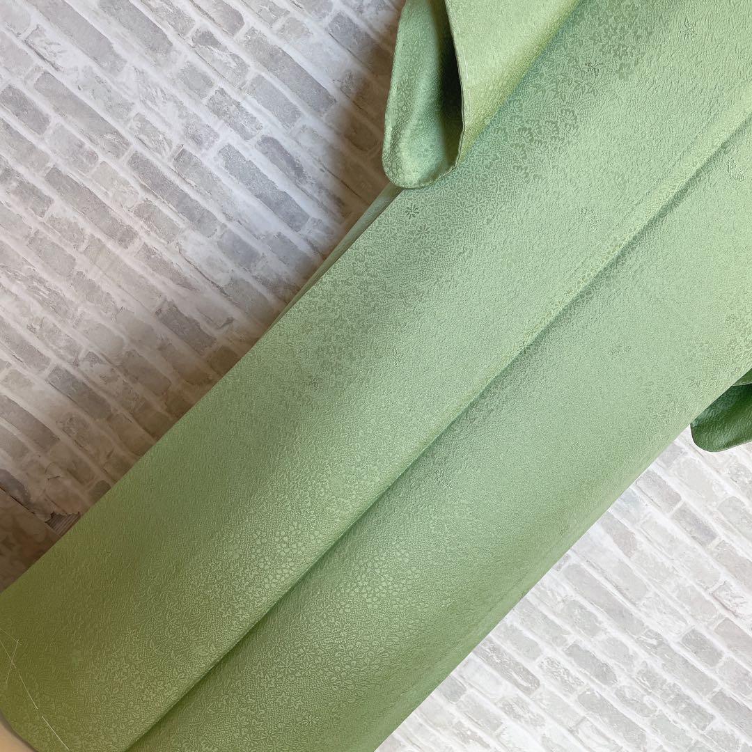 色無地　フルセット　丹後ちりめん　嵯峨野　蔓柏紋　パールトーン　地紋　H10