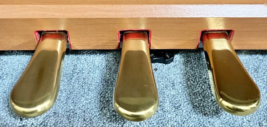 a*o様 KAWAI 電子ピアノ CN28C 【無料配送可能】