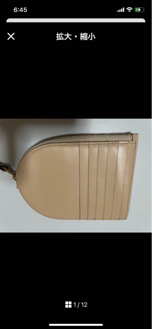 DELVAUX ベージュ ケース