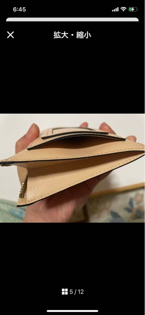 DELVAUX ベージュ ケース