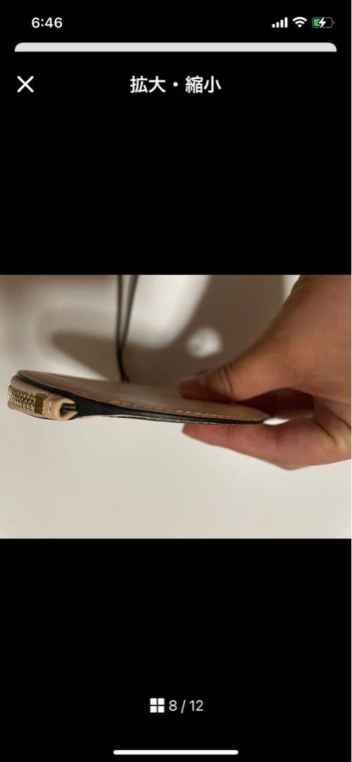 DELVAUX ベージュ ケース