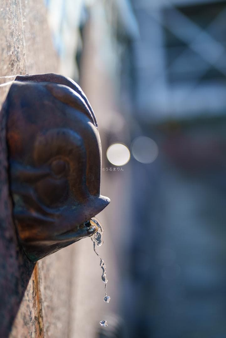 Dyz様　極美品！現代最高の50mm！SONY FE 50mm F1.2 GM