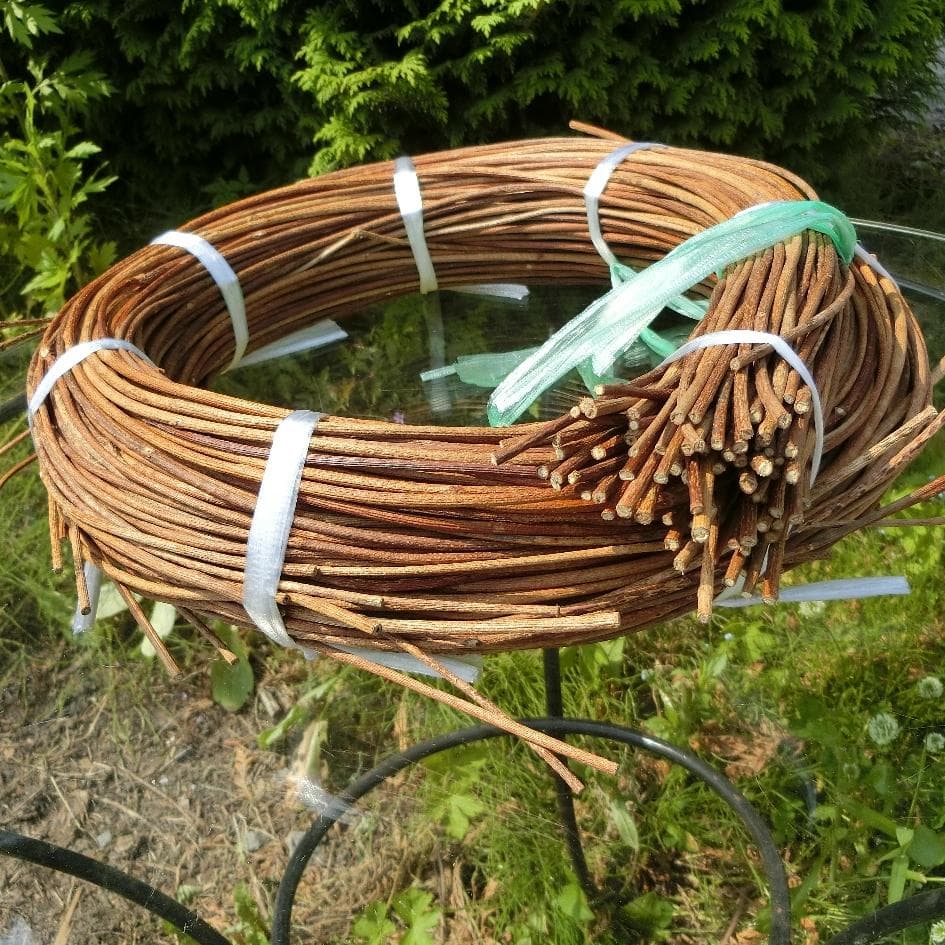 青森岩木山採取　あけび蔓　150cm～ 1kg