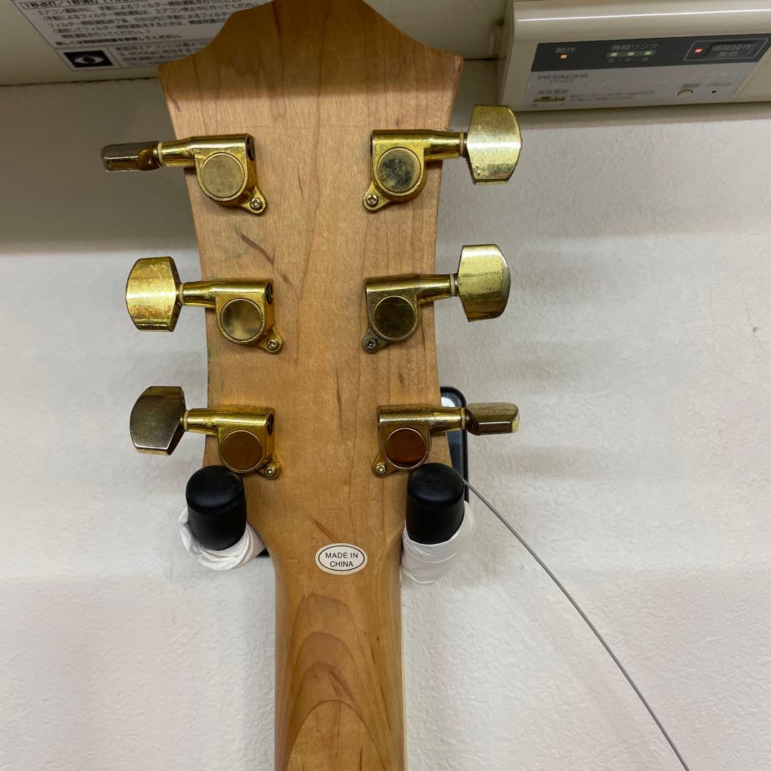 Photogenic モッキンバード