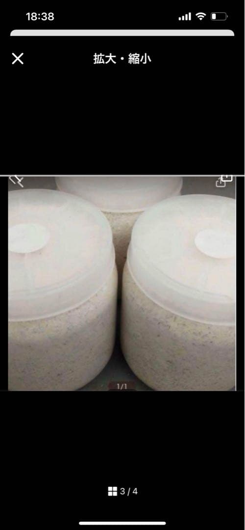 カワラ菌糸瓶1100 10本セット特価最終値引き