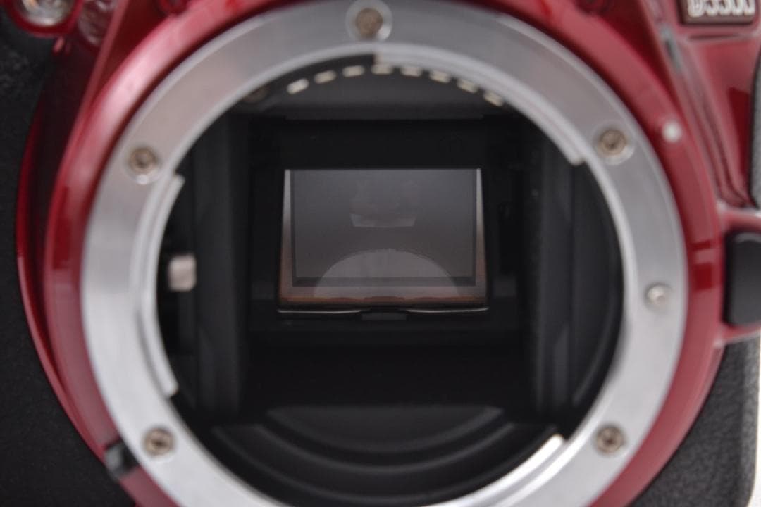 ニコン　Nikon D5500 希少RED ダブルズーム カメラバッグ付