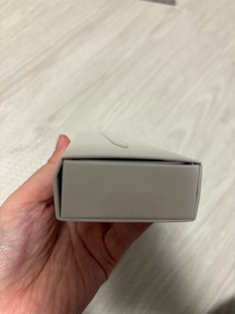 Apple Pencil 第1世代　typeC&Lightningコネクタ付属