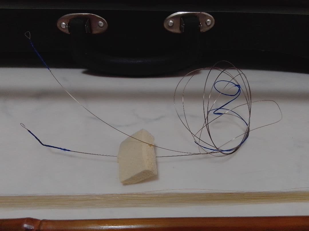 二胡 弓 敦煌牌 東洋文化学院 民族楽器 中国楽器 ハードケース付 胡弓