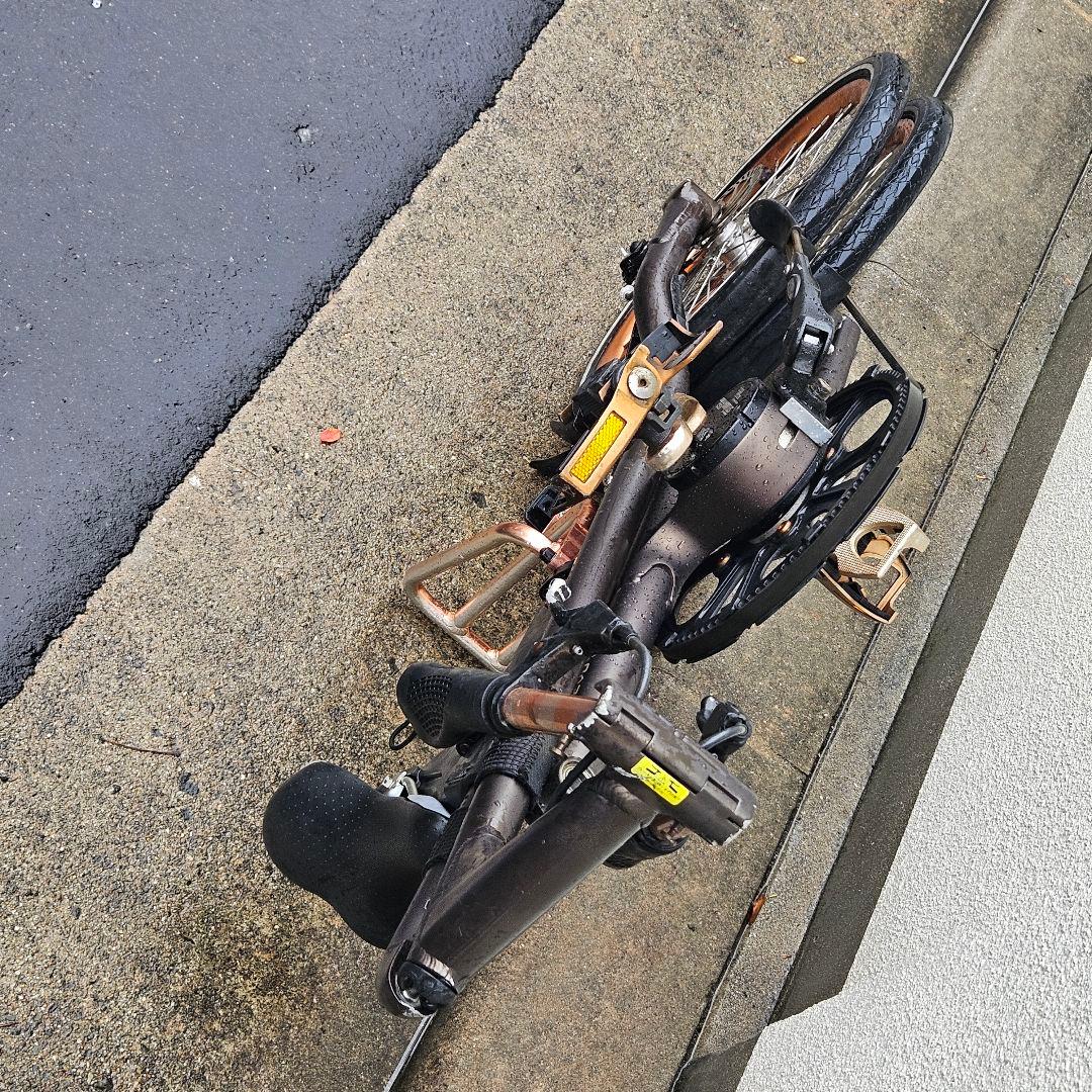 STRiDA EVO 3♪１８インチ♪ストライダ ブロンズ 内装3段変速