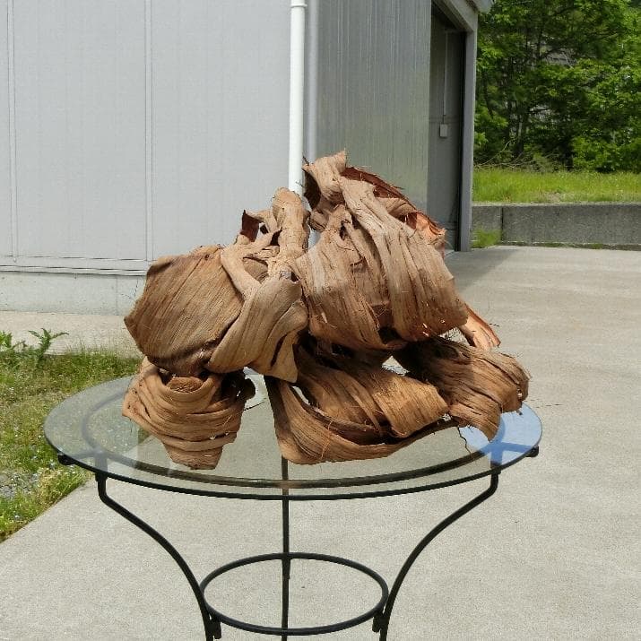 青森岩木山産 山葡萄 皮 樹皮 約2kg B品