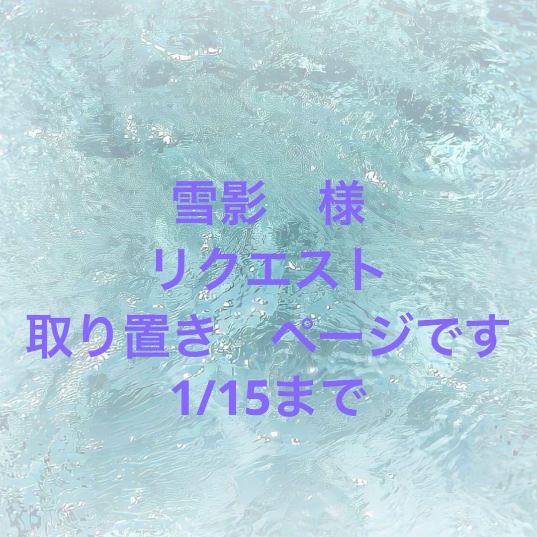 雪影　様　リクエスト　取り置き商品