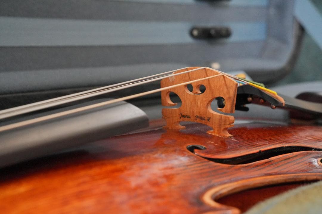 Carlo Bisiach Labeled バイオリン 4/4